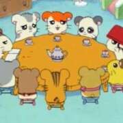 ヒメ日記 2025/10/13 22:48 投稿 ねこ チューリップ土浦店