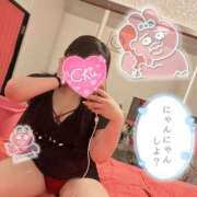 ヒメ日記 2025/12/31 05:48 投稿 ねこ チューリップ土浦店