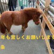 ヒメ日記 2026/01/03 09:21 投稿 中条 熟女の風俗最終章　鶯谷店