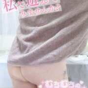 ヒメ日記 2025/11/19 21:29 投稿 れな ちゃんこ東大阪 布施・長田店