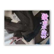 ヒメ日記 2025/11/22 20:44 投稿 れな ちゃんこ東大阪 布施・長田店