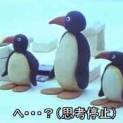 ヒメ日記 2025/11/23 15:49 投稿 れな ちゃんこ東大阪 布施・長田店