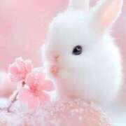 ヒメ日記 2024/12/20 18:33 投稿 かなで 治療院.LOVE小山店