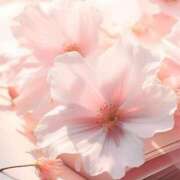 ヒメ日記 2025/02/27 12:27 投稿 かなで 治療院.LOVE小山店