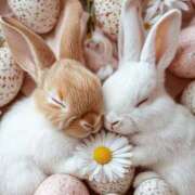 ヒメ日記 2025/03/16 05:24 投稿 かなで 治療院.LOVE小山店