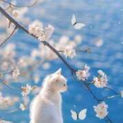 ヒメ日記 2025/03/22 08:27 投稿 かなで 治療院.LOVE小山店