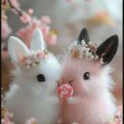 ヒメ日記 2025/04/08 01:03 投稿 かなで 治療院.LOVE小山店