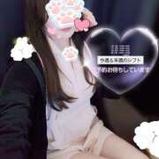 ヒメ日記 2025/04/17 17:12 投稿 かなで 治療院.LOVE小山店