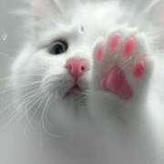 ヒメ日記 2025/05/10 18:48 投稿 かなで 治療院.LOVE小山店