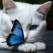 ヒメ日記 2025/05/11 18:12 投稿 かなで 治療院.LOVE小山店