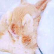 ヒメ日記 2025/05/22 19:57 投稿 かなで 治療院.LOVE小山店