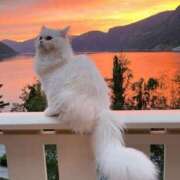 ヒメ日記 2025/10/02 09:39 投稿 かなで 治療院.LOVE小山店