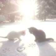 ヒメ日記 2025/10/20 09:33 投稿 かなで 治療院.LOVE小山店