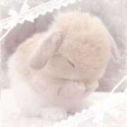 ヒメ日記 2025/11/09 08:33 投稿 かなで 治療院.LOVE小山店