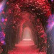 ヒメ日記 2025/11/17 08:48 投稿 かなで 治療院.LOVE小山店