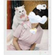 ヒメ日記 2025/11/24 02:51 投稿 かなで 治療院.LOVE小山店