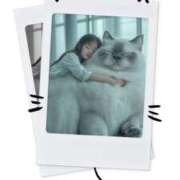 ヒメ日記 2025/11/30 03:48 投稿 かなで 治療院.LOVE小山店