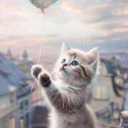 ヒメ日記 2025/12/04 23:03 投稿 かなで 治療院.LOVE小山店