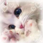 ヒメ日記 2025/12/23 20:21 投稿 かなで 治療院.LOVE小山店