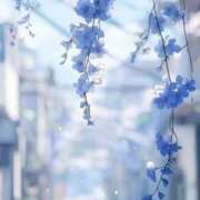 ヒメ日記 2025/12/27 14:18 投稿 かなで 治療院.LOVE小山店