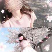 ヒメ日記 2026/03/14 08:21 投稿 かなで 治療院.LOVE小山店