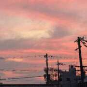 ヒメ日記 2025/05/21 14:37 投稿 ありす 妻天 梅田店