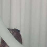 ウイ 出勤しました(*^^*) エピソード(品川)