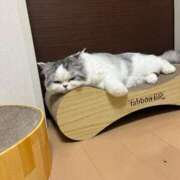 ヒメ日記 2026/04/18 22:31 投稿 ウイ エピソード(品川)