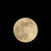 ヒメ日記 2024/12/15 21:11 投稿 フウカ 【福岡デリヘル】20代・30代★博多で評判のお店はココです！