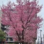 ヒメ日記 2025/03/20 12:06 投稿 愛瑠(あいる) 人妻城 横浜本店