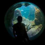 ヒメ日記 2025/08/16 12:07 投稿 愛瑠(あいる) 人妻城 横浜本店