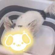 ヒメ日記 2025/05/07 09:03 投稿 りお 梅田アバンチュール