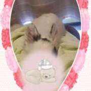 ヒメ日記 2025/05/20 22:02 投稿 りお 梅田アバンチュール