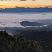 ヒメ日記 2025/06/23 09:23 投稿 りお 梅田アバンチュール