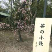 ヒメ日記 2026/02/23 10:12 投稿 りお 梅田アバンチュール