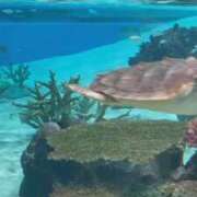 ヒメ日記 2026/03/24 13:52 投稿 りお 梅田アバンチュール