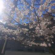 ヒメ日記 2026/03/27 15:12 投稿 りお 梅田アバンチュール