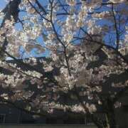 ヒメ日記 2026/04/01 10:12 投稿 りお 梅田アバンチュール