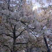 ヒメ日記 2026/04/06 08:42 投稿 りお 梅田アバンチュール