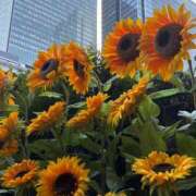 ちあき☆純白肌の激かわ美少女！！ お疲れ様 ジャックと豆の木