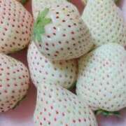 ヒメ日記 2025/01/23 17:15 投稿 つむぎ ピンクハウス（横浜）