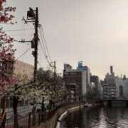 ヒメ日記 2025/03/27 16:50 投稿 つむぎ ピンクハウス（横浜）