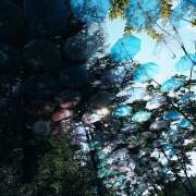 ヒメ日記 2025/06/09 11:55 投稿 つむぎ ピンクハウス（横浜）