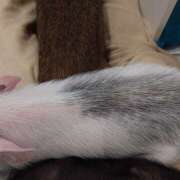 ヒメ日記 2025/06/29 16:50 投稿 つむぎ ピンクハウス（横浜）