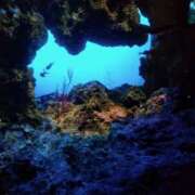 ヒメ日記 2025/08/14 16:55 投稿 つむぎ ピンクハウス（横浜）