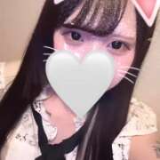 ヒメ日記 2025/10/27 00:14 投稿 まり【経験極浅純白18歳】 STELLA NEXT-ステラネクスト-