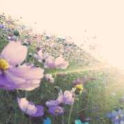 ヒメ日記 2025/01/16 11:47 投稿 黒崎　るな 魅惑の官能アロマエステ　Eureka！八王子 ～エウレカ！～