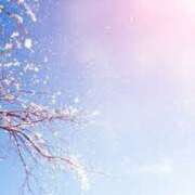 ヒメ日記 2025/01/28 11:47 投稿 黒崎　るな 魅惑の官能アロマエステ　Eureka！八王子 ～エウレカ！～