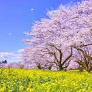 ヒメ日記 2025/03/25 11:46 投稿 黒崎　るな 魅惑の官能アロマエステ　Eureka！八王子 ～エウレカ！～