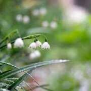 ヒメ日記 2025/04/01 11:48 投稿 黒崎　るな 魅惑の官能アロマエステ　Eureka！八王子 ～エウレカ！～